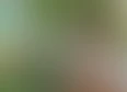 Monthly Q & A's tag thumbnail