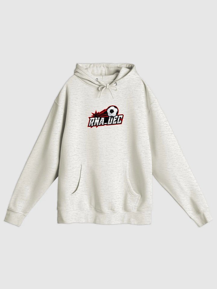 RNA_Dec Hoodie (Large Logo) - Unisex product image (1)