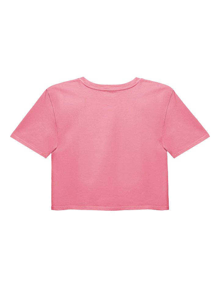 Wasted Talent Crop Top product image (6)