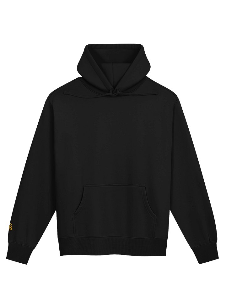 Wireframe Bear Hoodie product image (2)