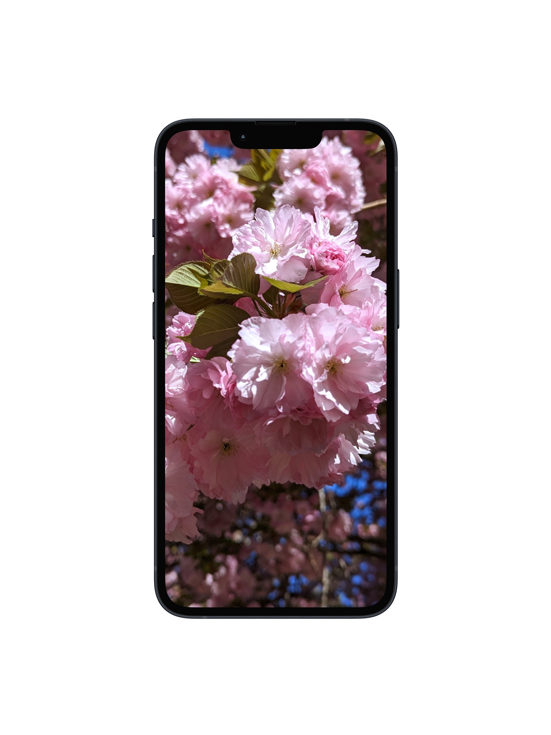Cherry Blossom Digital Wallpaper Set product image (1)