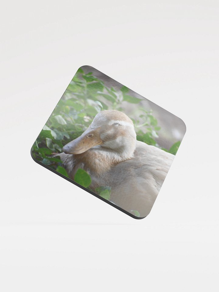 Quatie's Quackers Coaster product image (1)