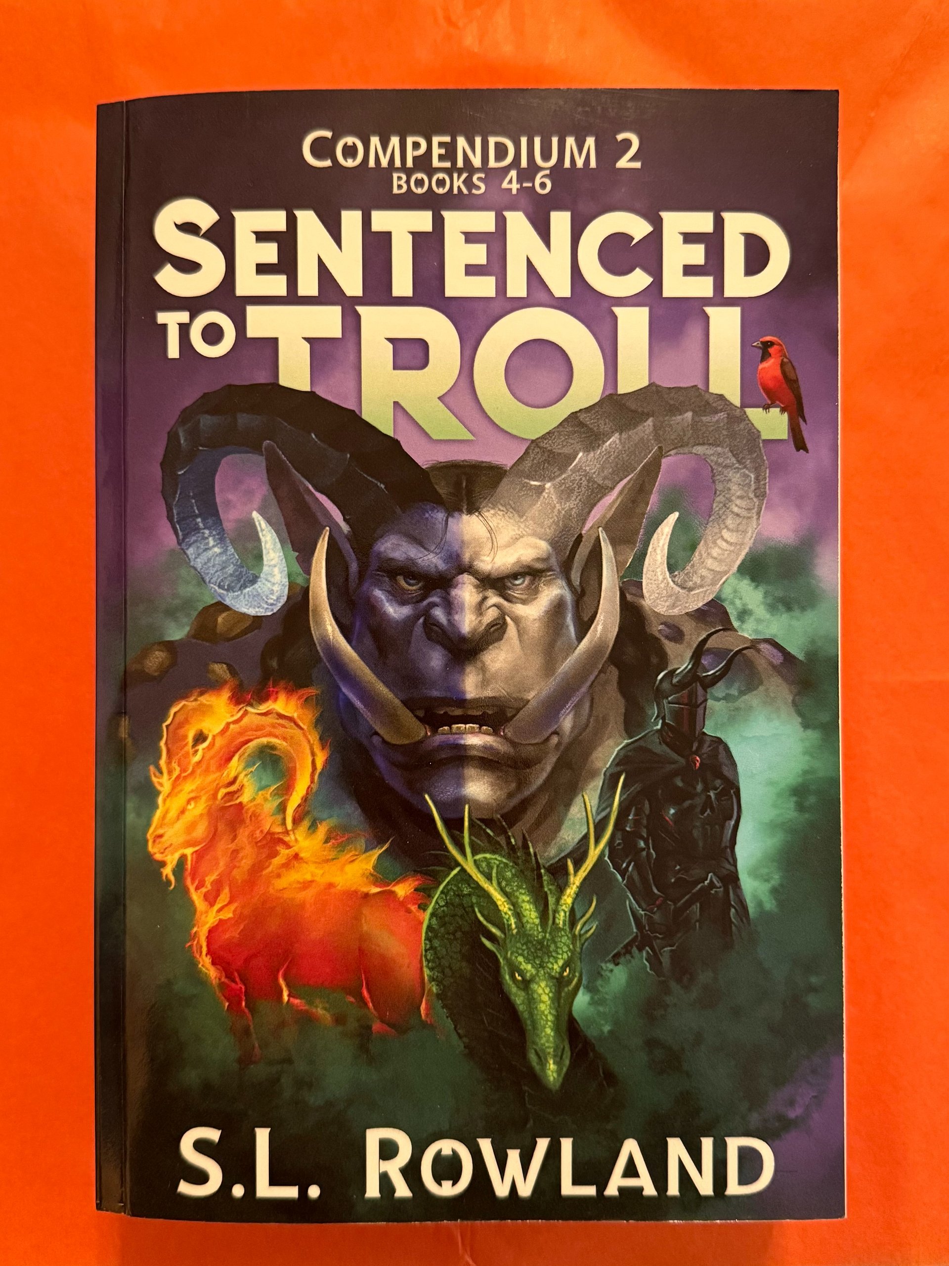 Sentenced to Troll Compendium 2: Books 4-6 Signed Paperback product image (2)