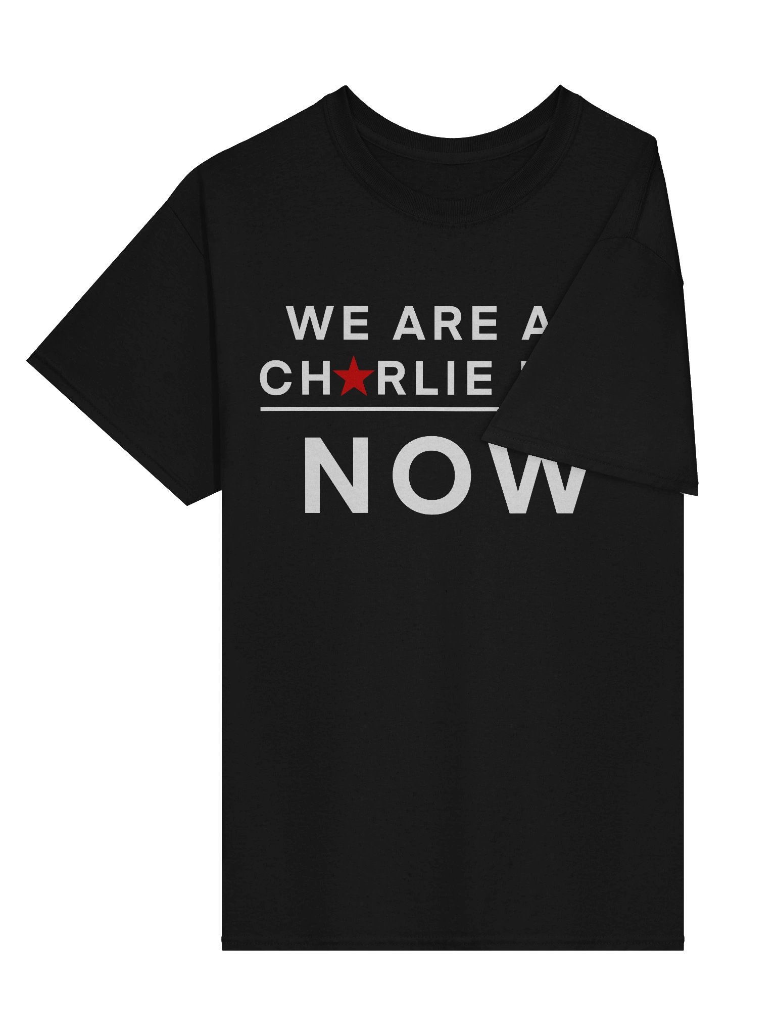 We Are All Charlie Kirk Now Basic product image (3)