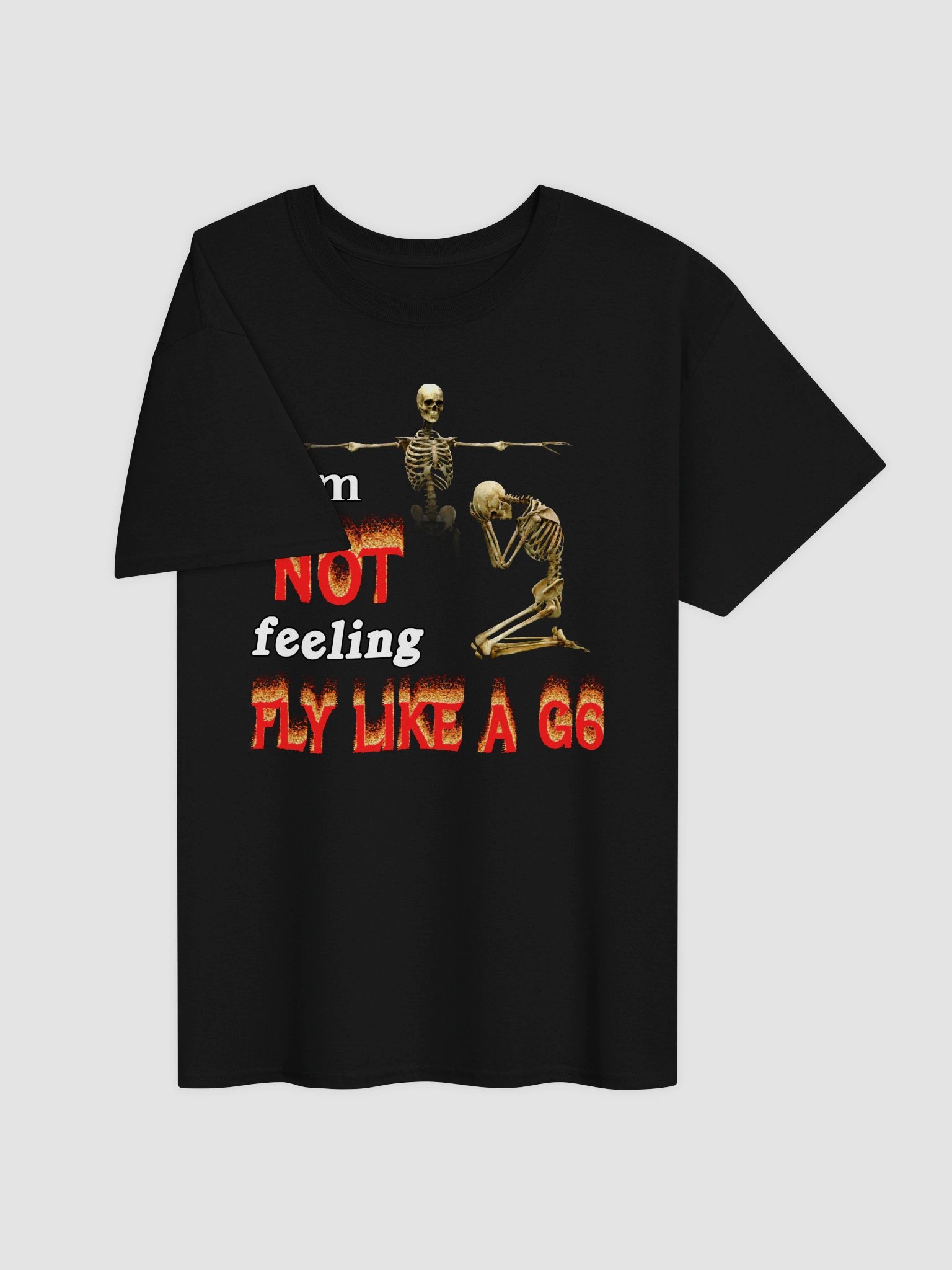 I am NOT feeling fly like a G6 T-shirt product image (3)