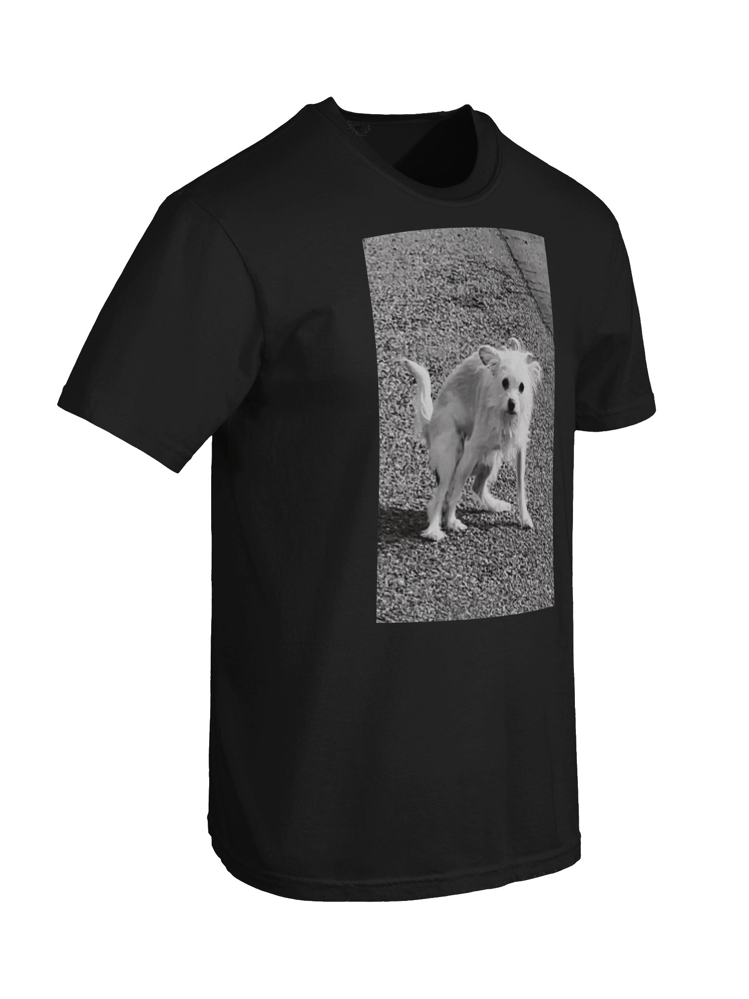 Charlie Shits product image (8)