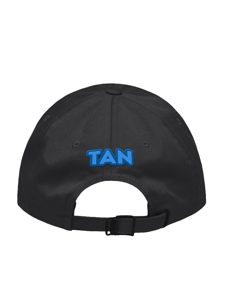 The Advertising Network Dad Hat product image (2)