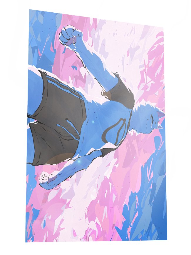 POSTERS