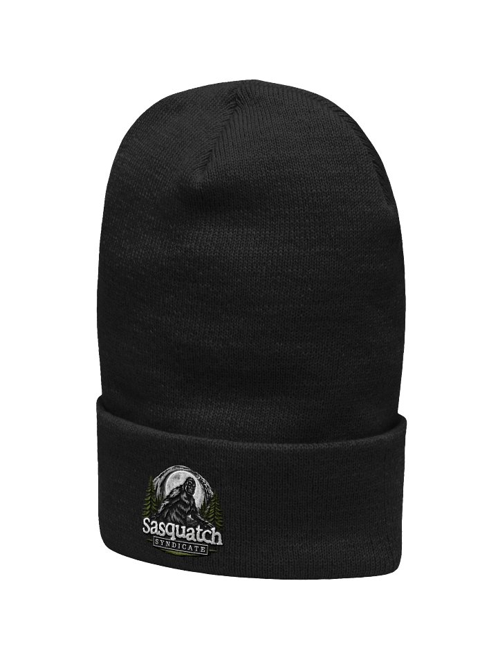 10th Anniversary Stocking Cap product image (2)
