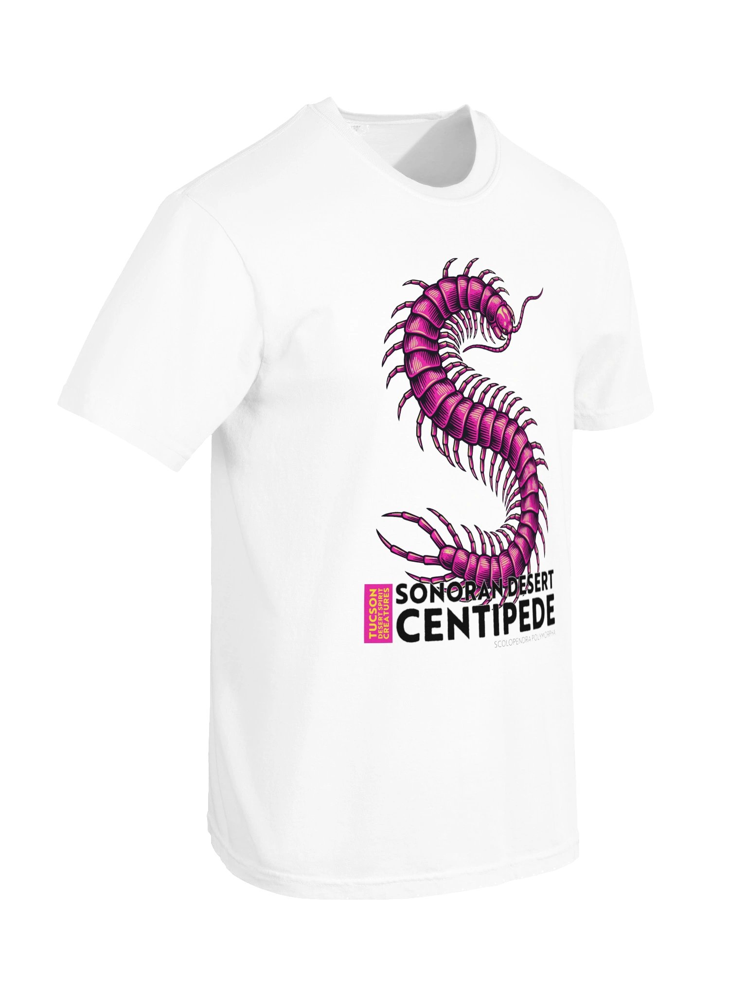 SONORAN DESERT CENTIPEDE product image (172)