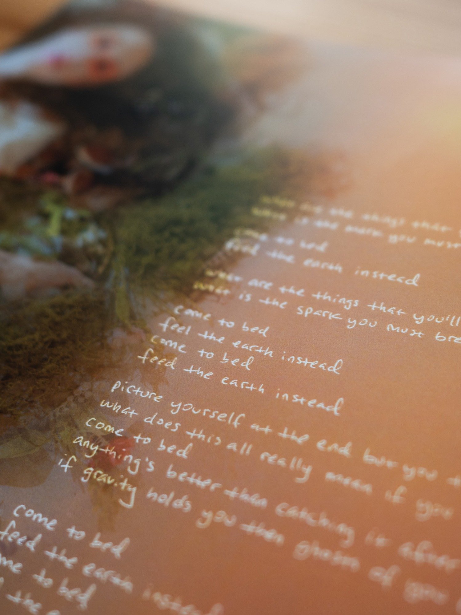 decca vinyl - Limited Edition Rosé product image (4)