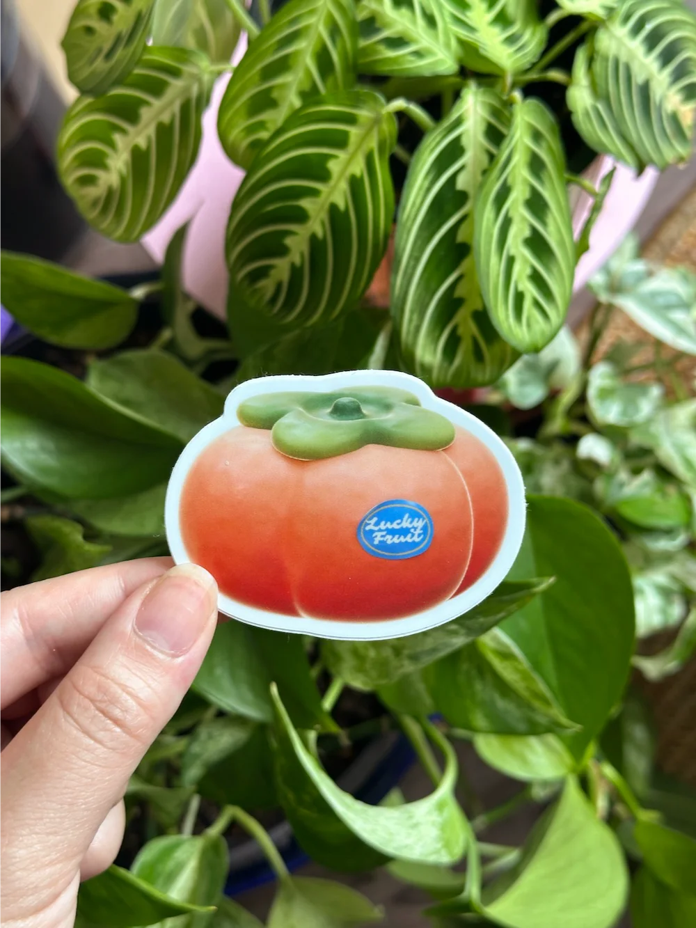 Persimmon Sticker product image (1)