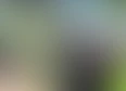 It Ends With Justice Updates's tag thumbnail