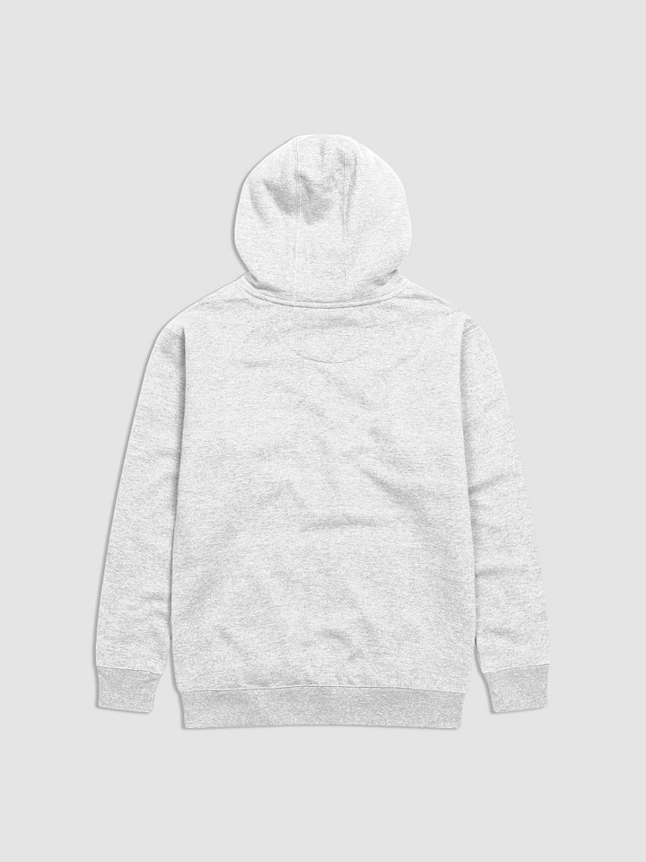 Reason Single Hoodie product image (2)