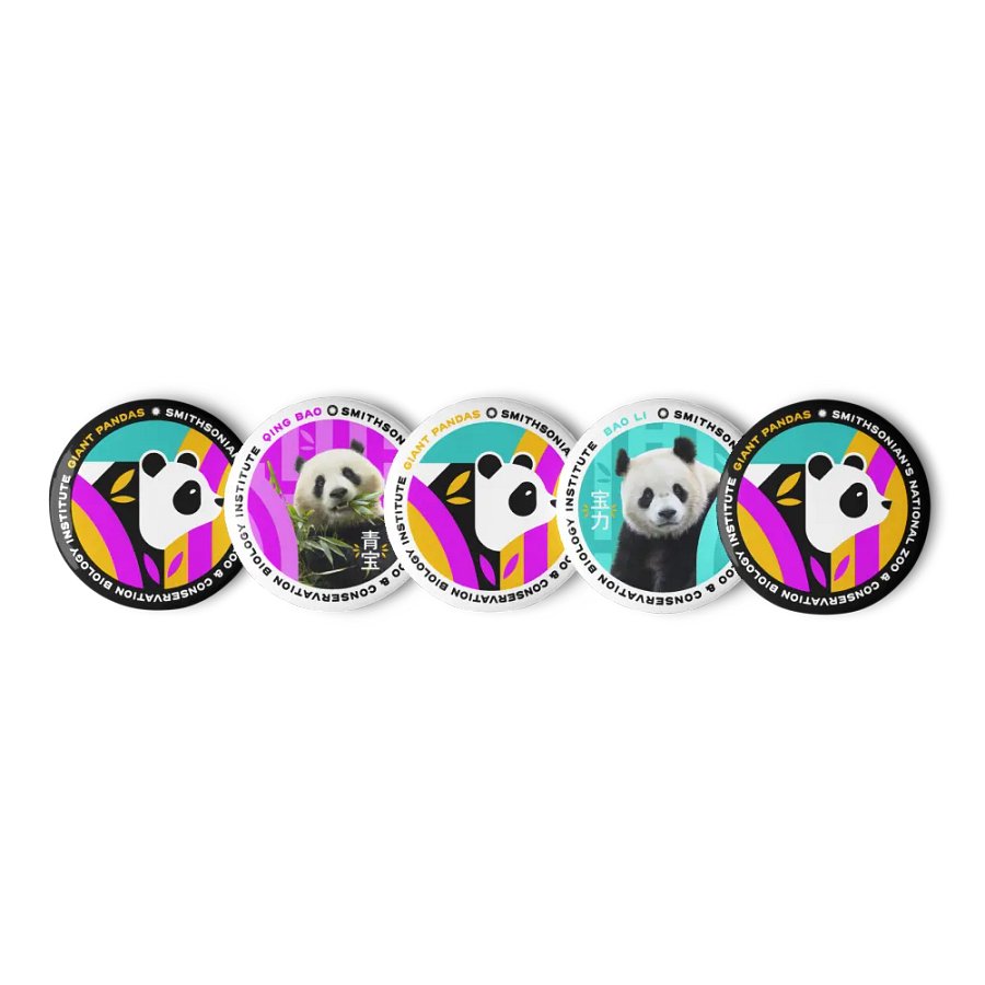 Panda Pin Set Image 1