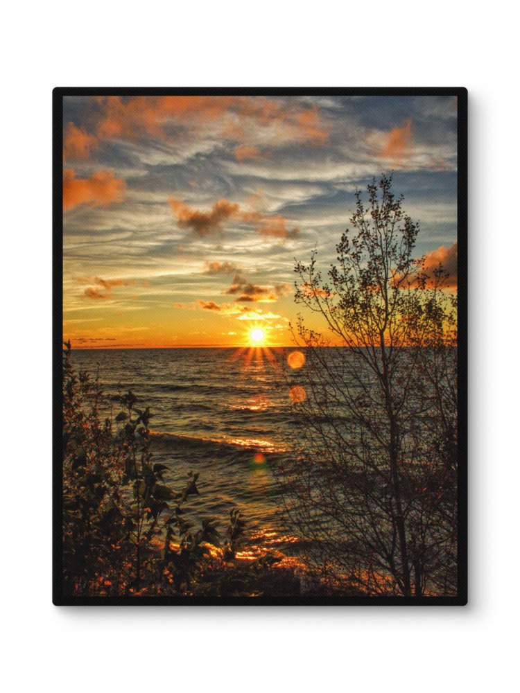 Canvas - ALONA STORMS product image (1)