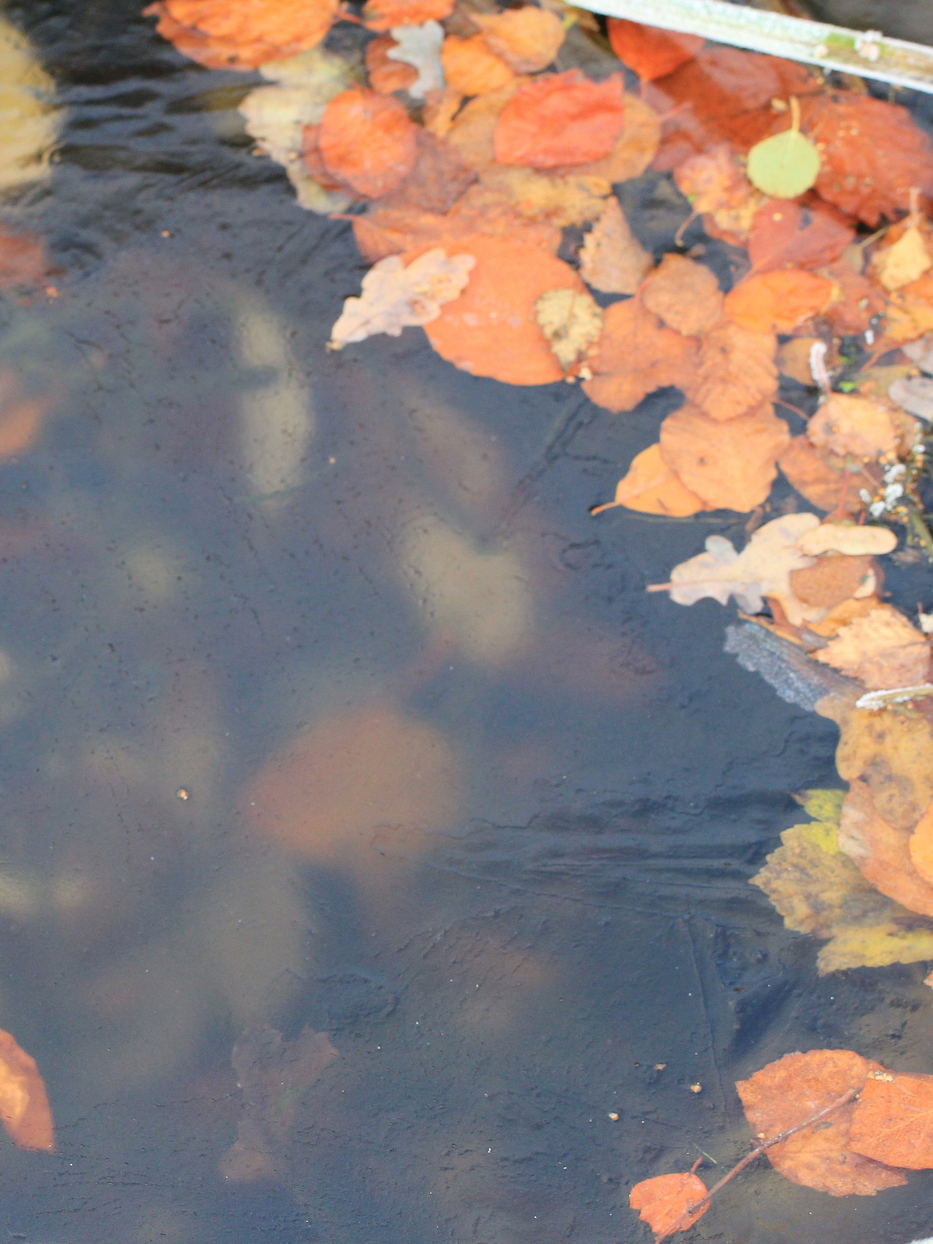 Abstract Image Collection product image (1)