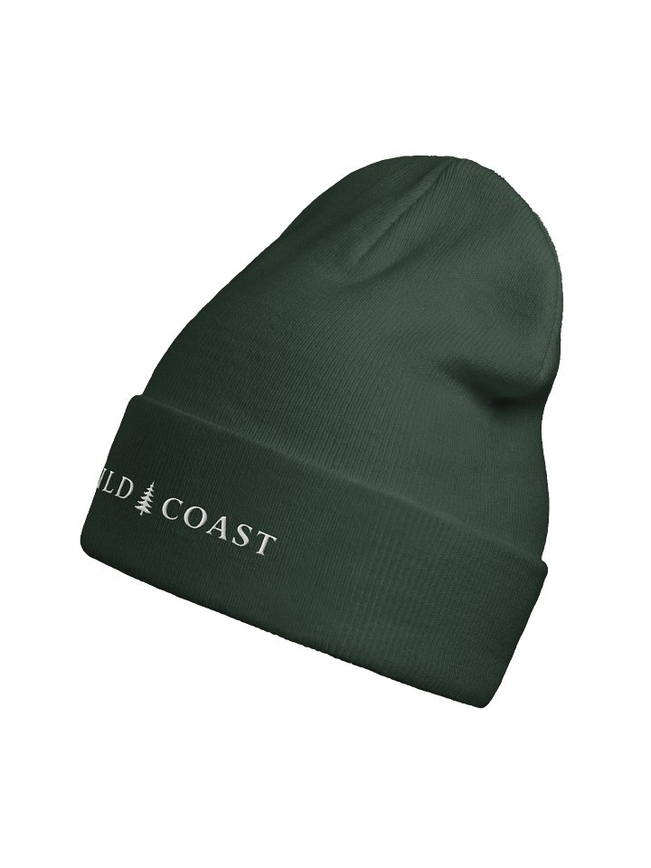 Coast Beanie product image (2)