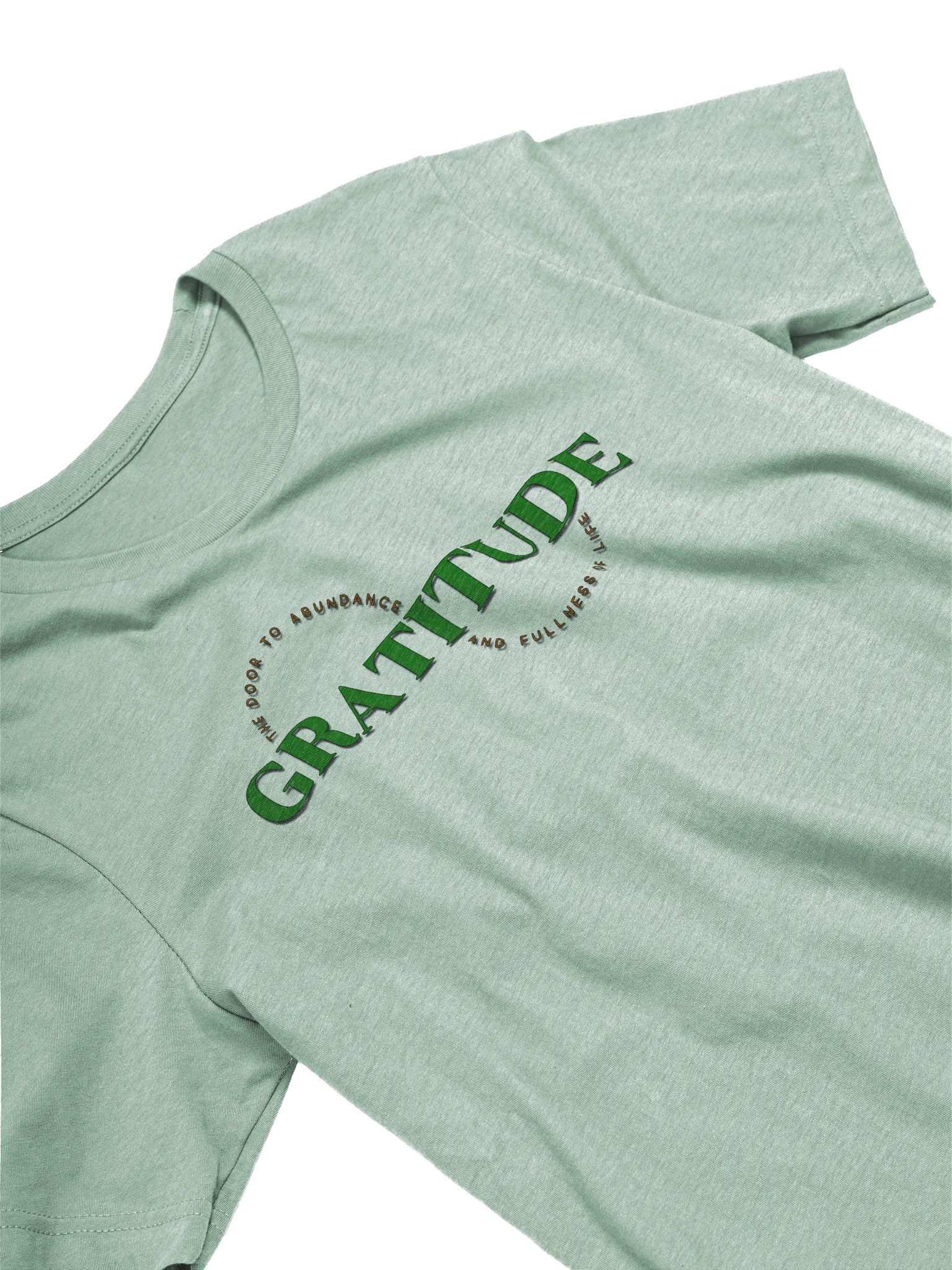 Gratitude Abundance Tee product image (5)