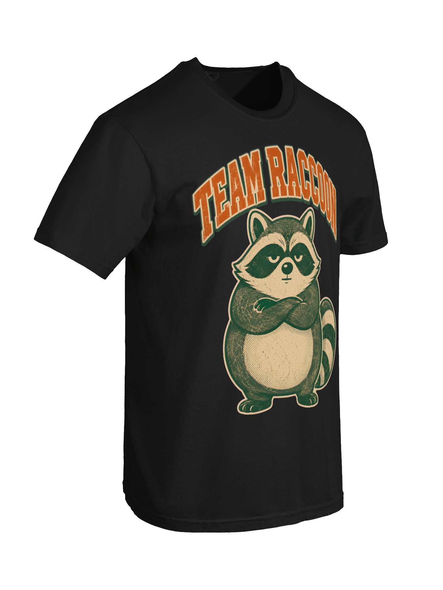 Team Raccoon - Funny Trash Panda Squad T-Shirt product image (66)