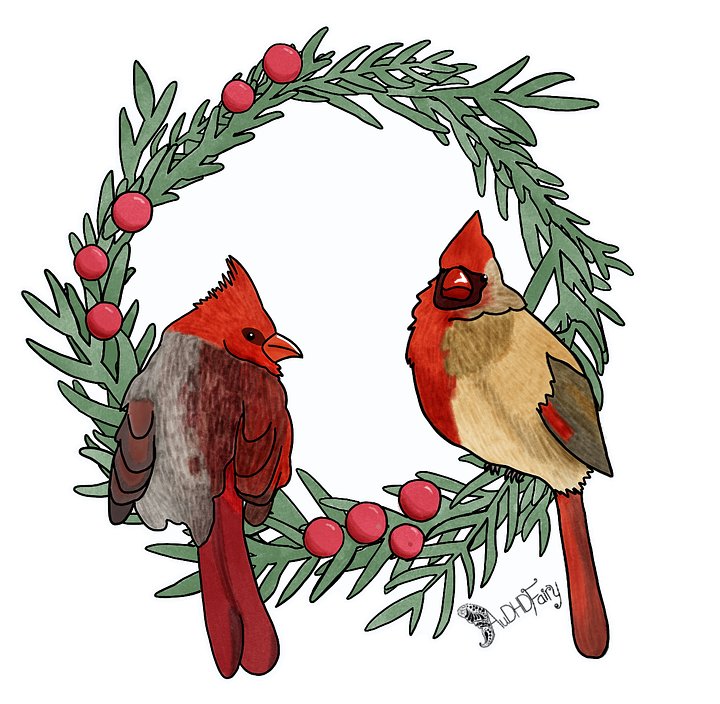 Nonbinary Cardinal Couple Sticker product image (1)