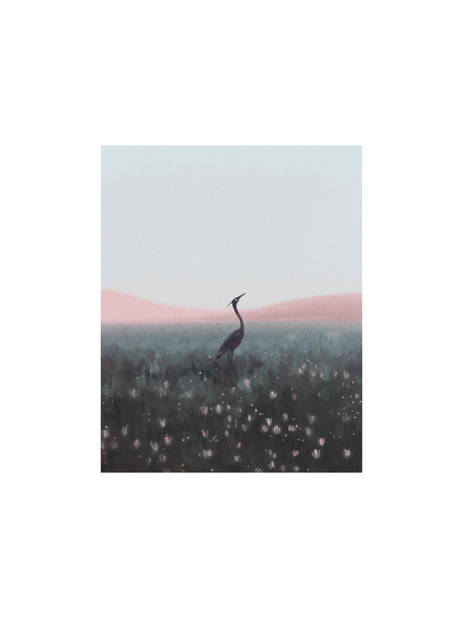 Crane in Flower Field product image (1)