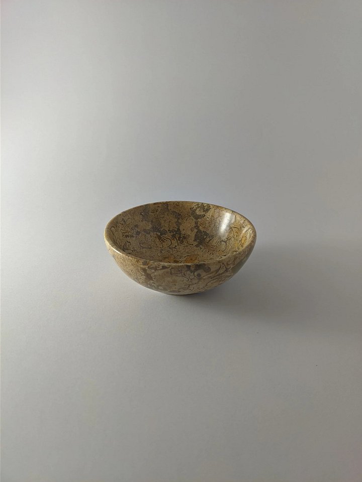 Fossil stone bowl product image (2)