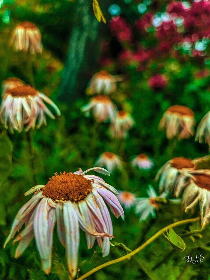 Ducky and Friends. product image (2)