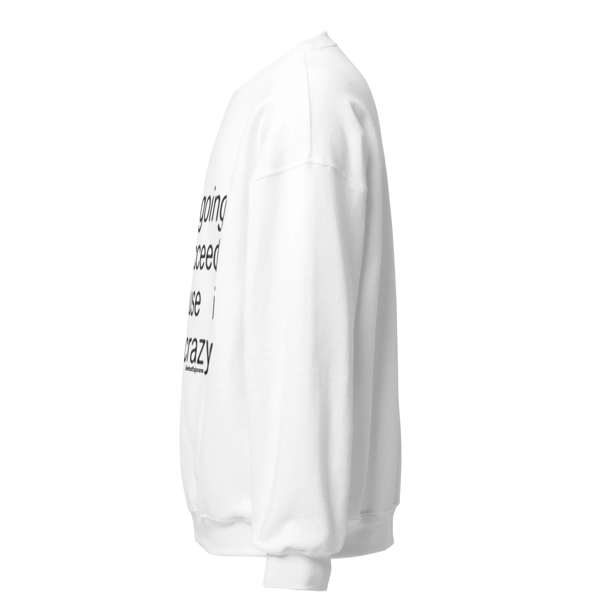 i am going to succeed bc i am crazy sweatshirt — white product image (3)