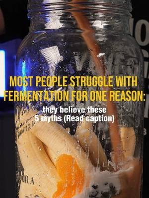 5 Fermentation Myths That Held Me Back Myth #1: Fermentation is dangerous. I used to think one wrong move would ruin everything. The truth? Fermentation has been used safely for thousands of years. Once you understand the basics, it's much simpler than most people think. Myth #2: You need fancy equipment. I thought I needed special jars, airlocks, and all kinds of gadgets. In reality, you can make incredible ferments with simple tools you probably already have at home. Myth #3: If it doesn't look perfect, it's bad. Every bubble, color change, or cloudy brine used to make me nervous. Most of these are completely normal signs that fermentation is doing exactly what it's supposed to do. Myth #4: Fermentation takes too much time. The prep usually takes just a few minutes. After that, the microbes do the work while you get on with your day. Myth #5: Fermentation is complicated. This was the biggest myth of all. Once I learned the core principles, fermentation became one of the easiest and most rewarding things I do in the kitchen. The truth is, most people aren't struggling because fermentation is hard. They're struggling because they've been taught to think it's hard. If you want to learn how to ferment with confidence, link in bio for my full system.