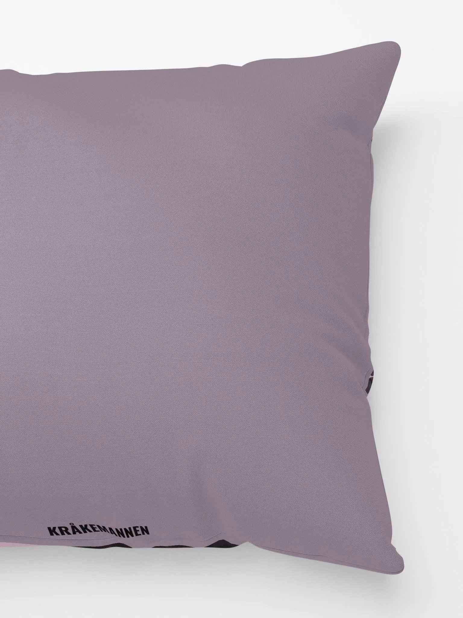 COZY PILLOW ⚫️ Bird on an icy branch product image (2)