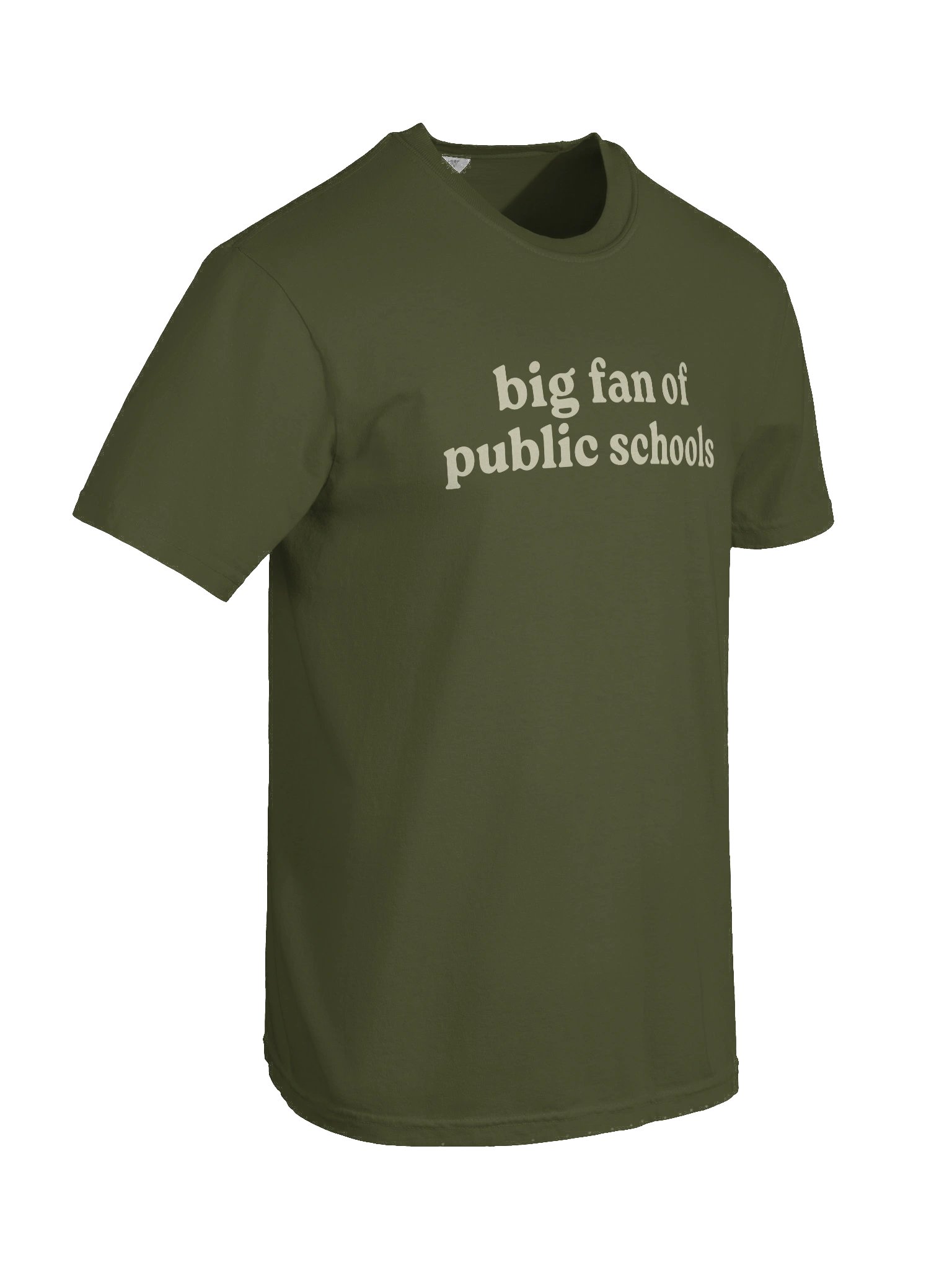 Big Fan of Public Schools Tee product image (8)