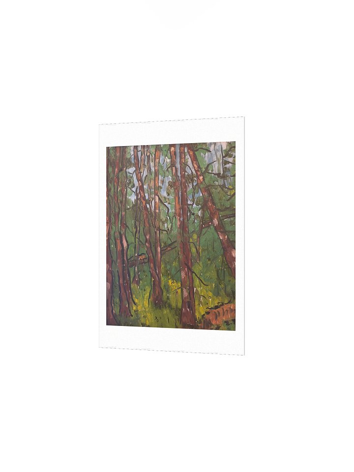 Chambers Lake Print product image (9)