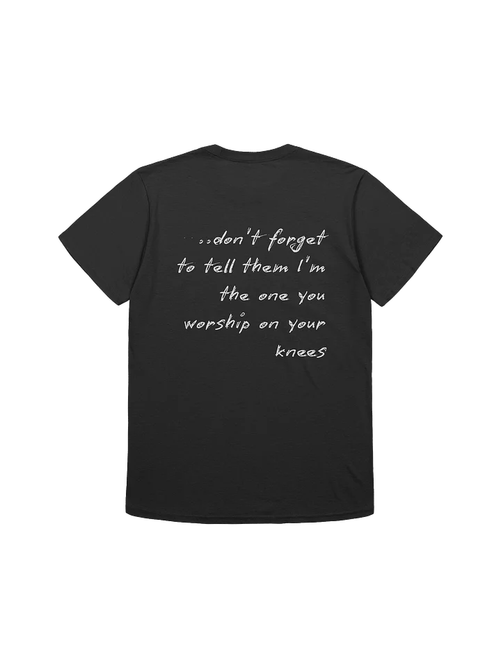 Quicksilver TShirt product image (2)