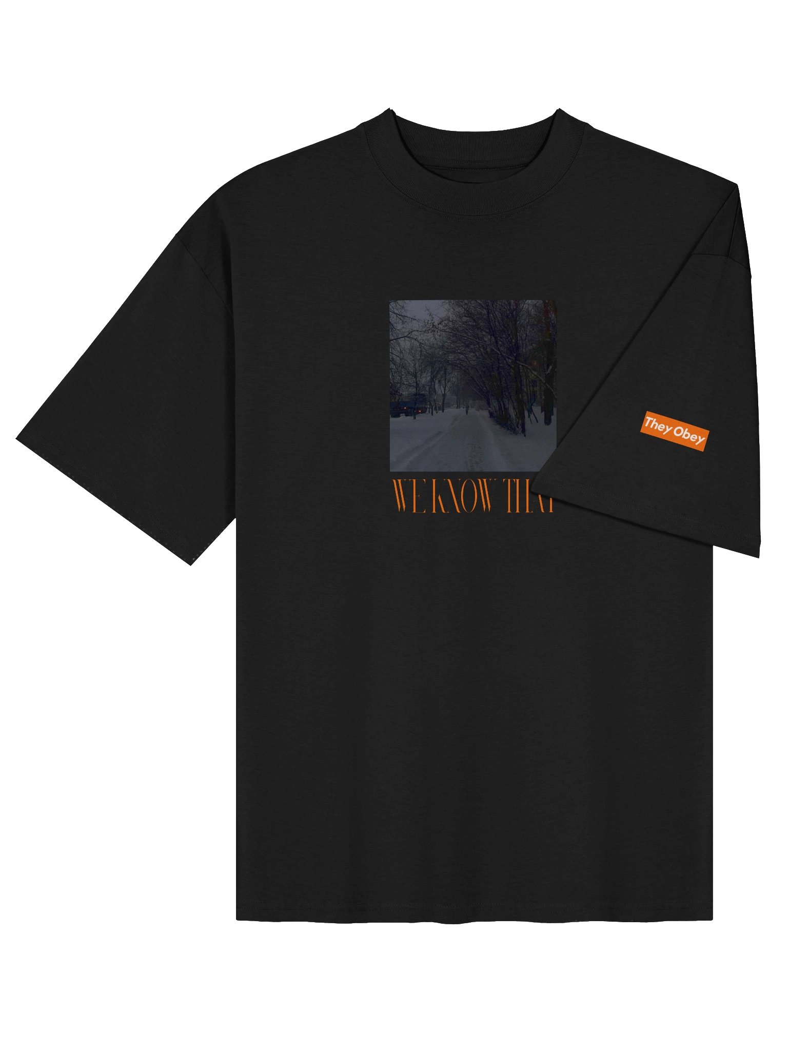 TS - 2 product image (3)