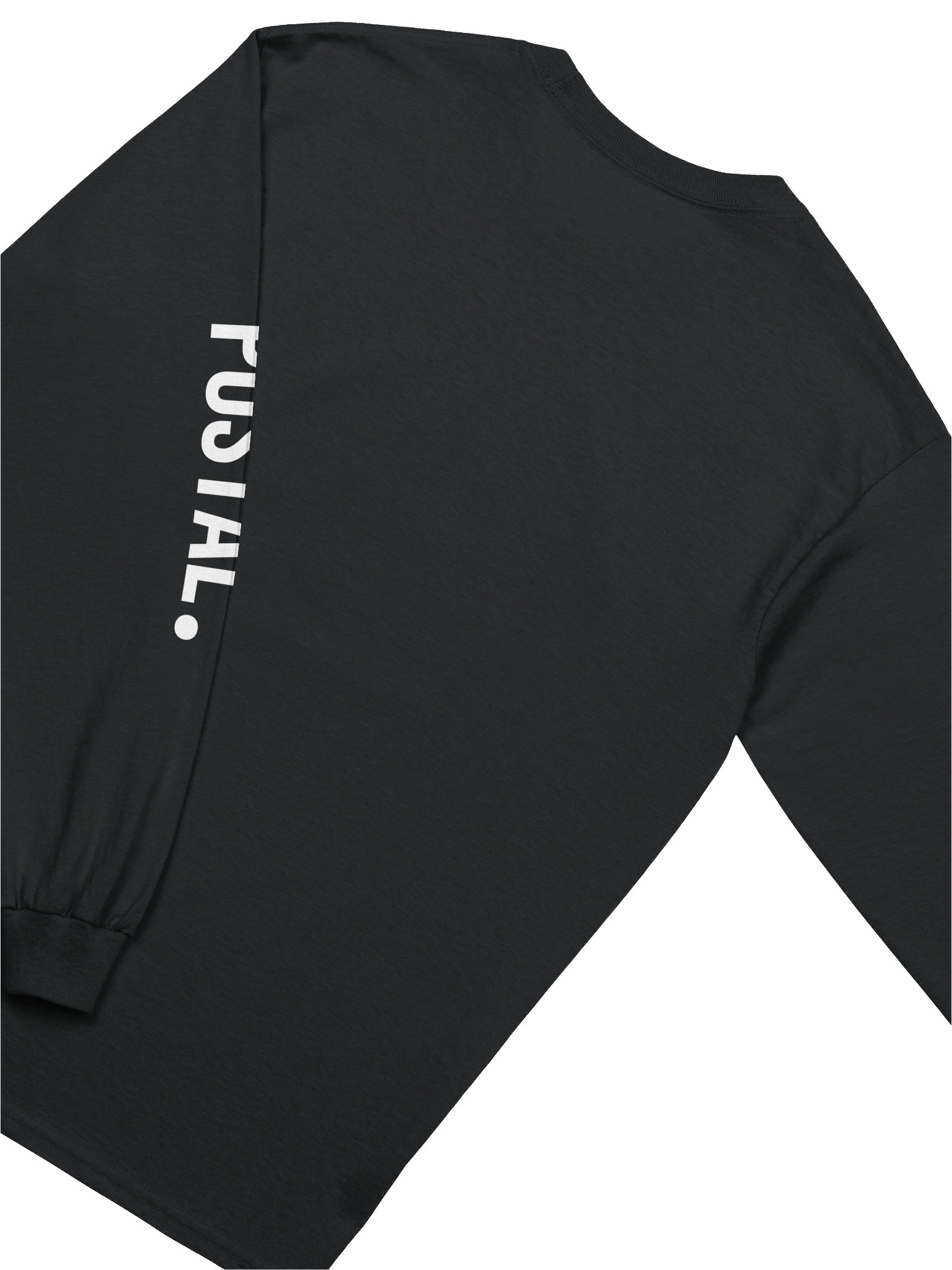 The "Dog Route" Classic Long Sleeve Tee (BLACK) product image (4)