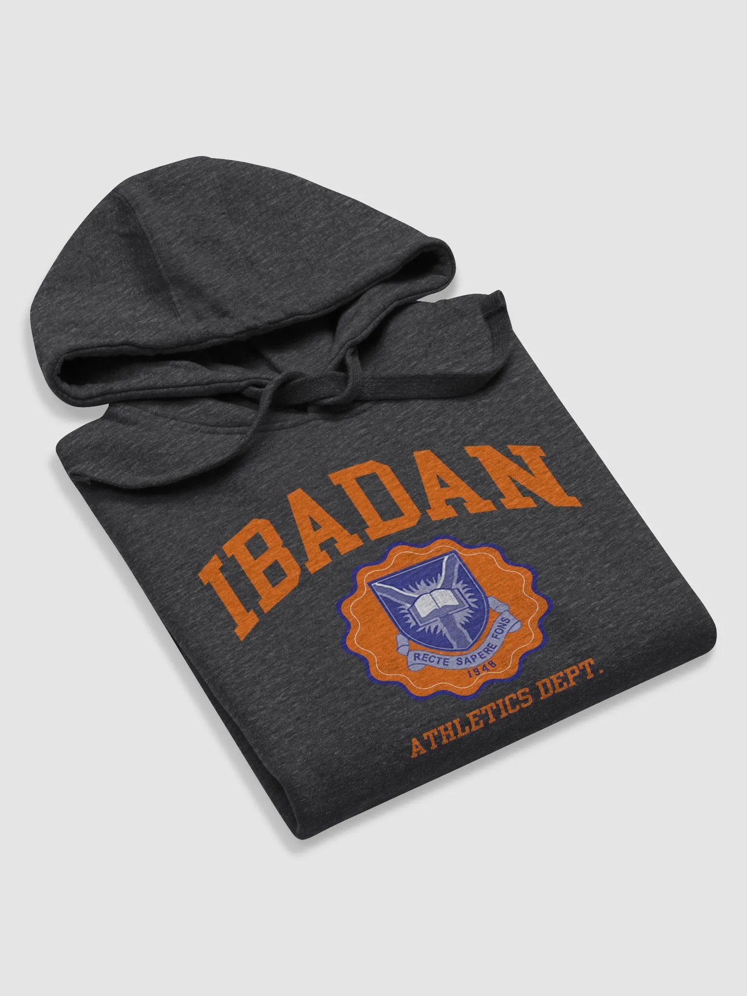 IBADAN Athletics Department Premium Hoodie product image (9)
