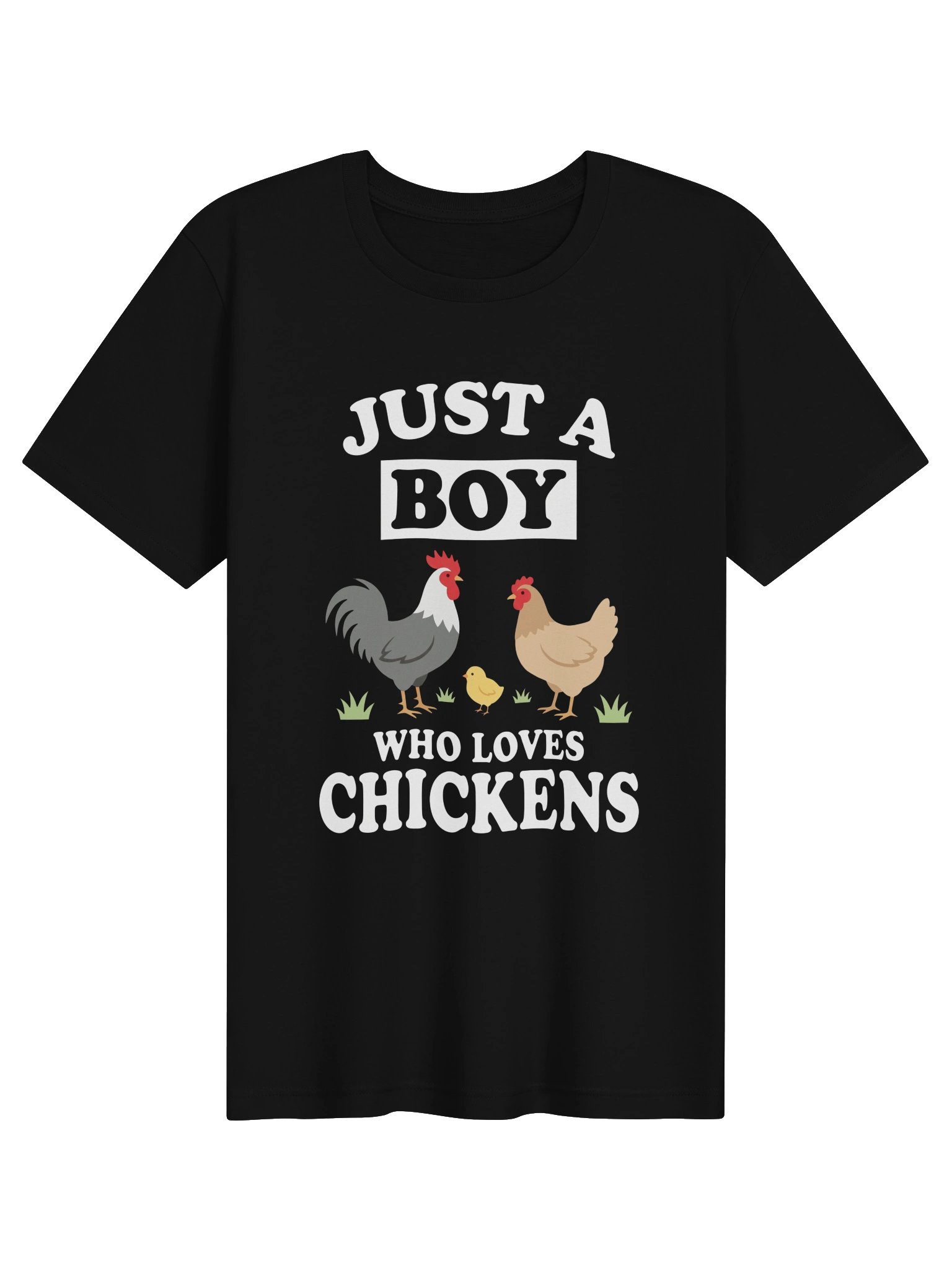 Boy Who Loves Chickens tshirt product image (1)
