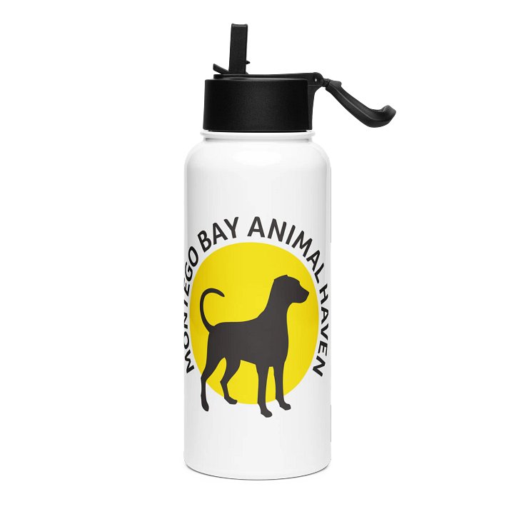 MBAH Logo Stainless Steel Water Bottle with a Straw Lid product image (1)