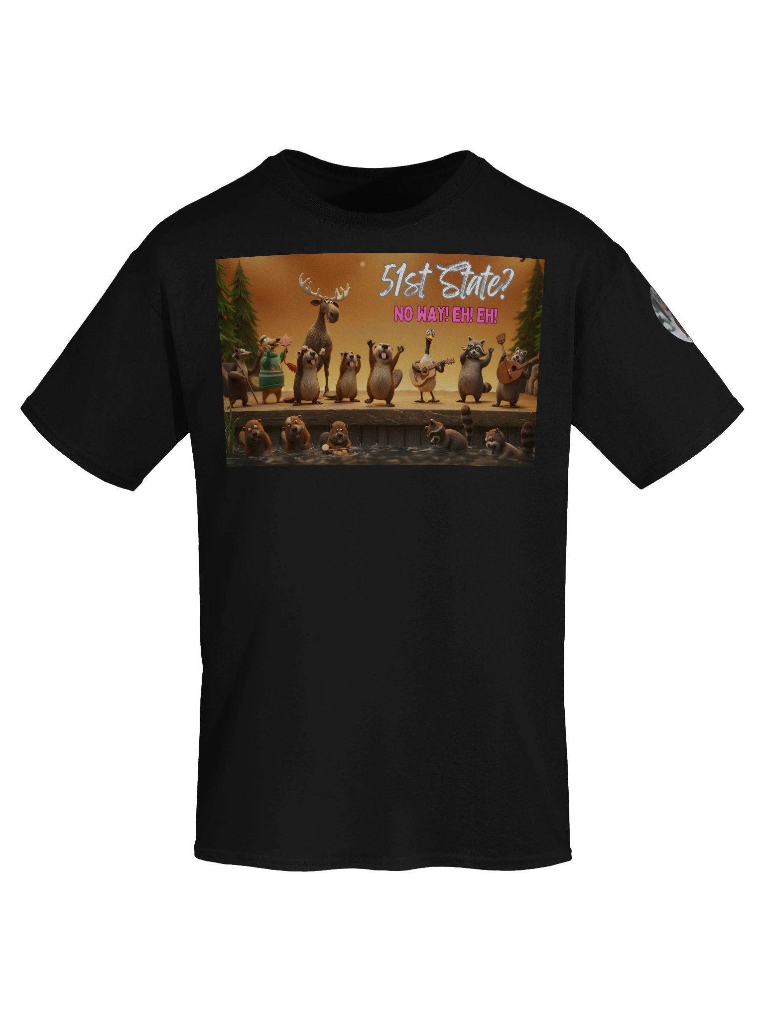 51st State? | Essential Character Ensemble Tee (Black) product image (7)
