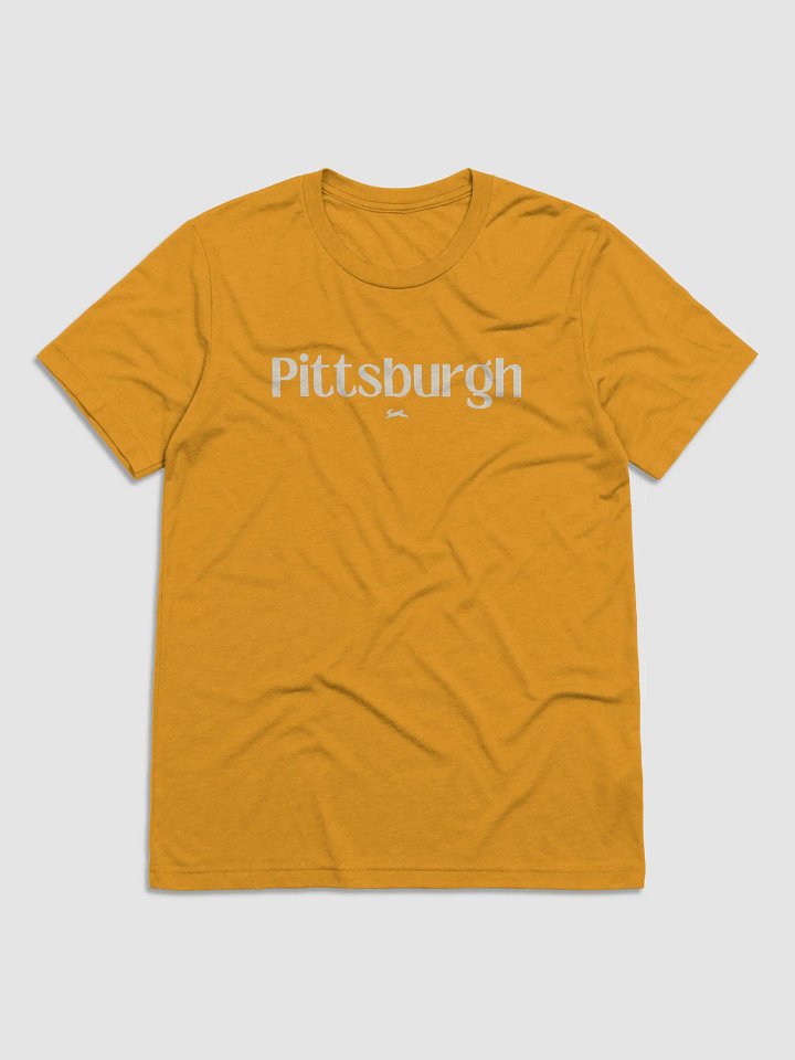 chfpar City / Pittsburgh Celebration Tee product image (1)