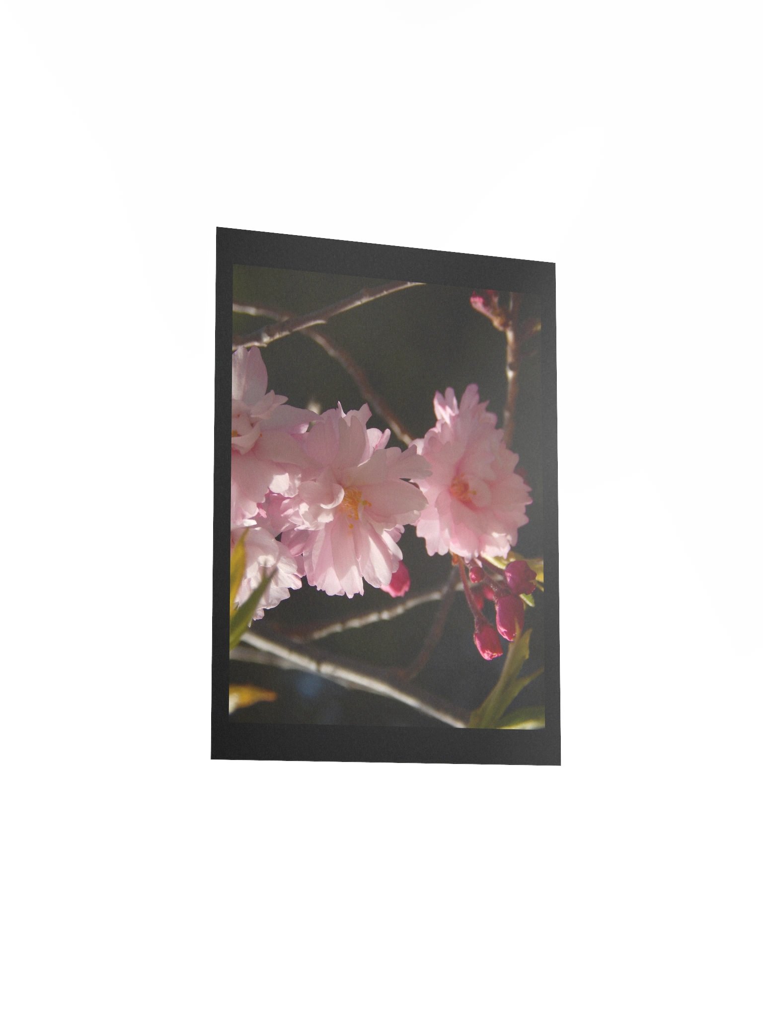 Pink Flowers product image (5)
