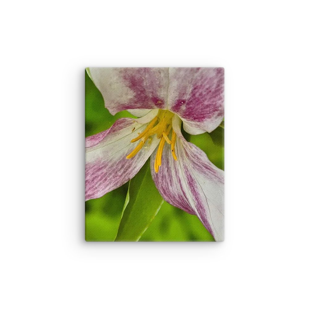 Burst of Color Canvas Art product image (9)