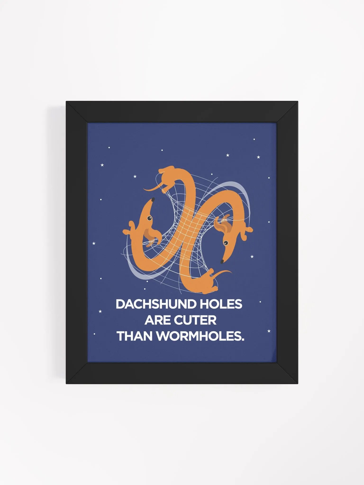 QUANTUM DACHSHUNDS product image (109)