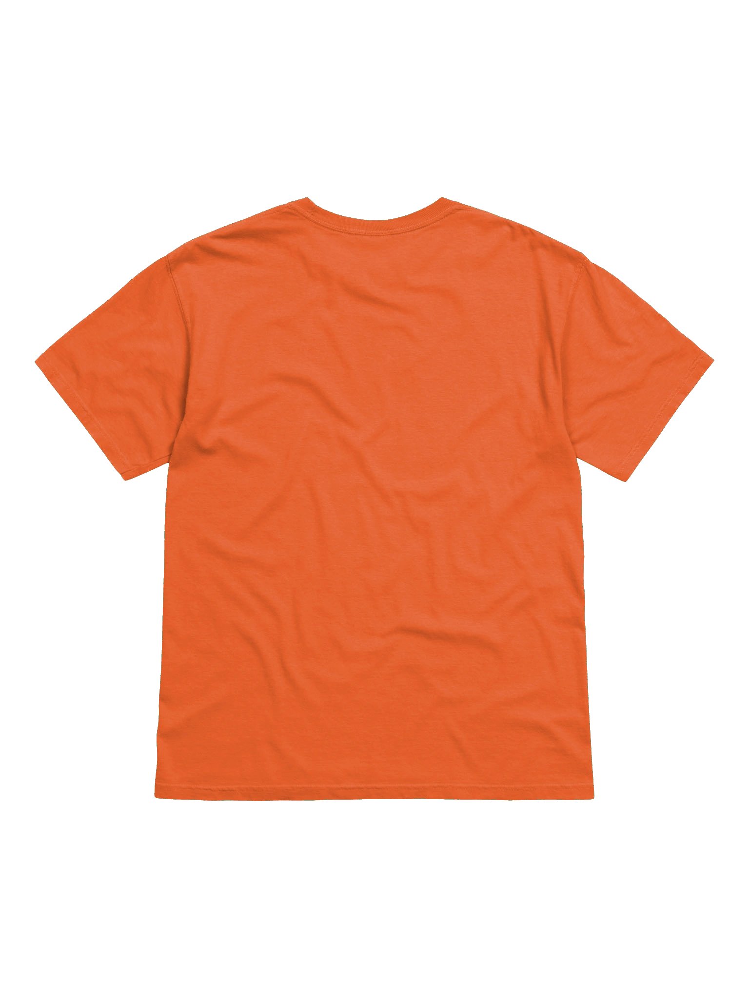 CS, A Little Dysfunctional T Shirt. 100% Cotton product image (2)