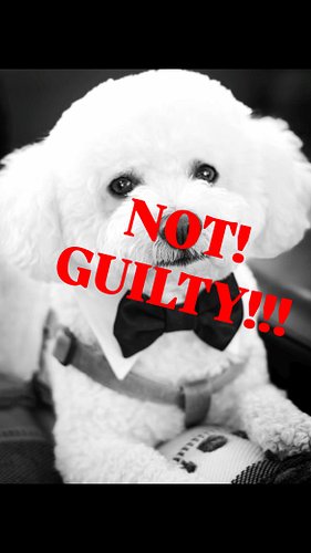 “Uh-uh”: The fourth woman insists that, in stark contrast to the others, she had no involvement in the crime she is accused o...