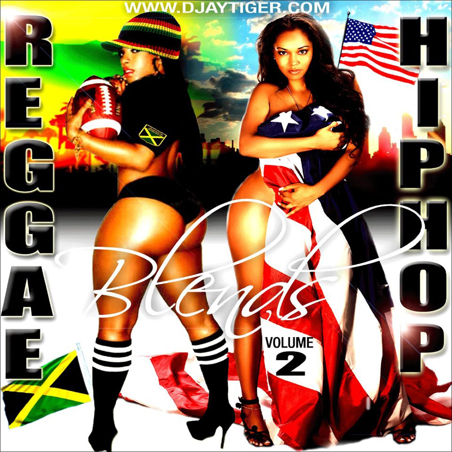 Reggae Hip-Hop Blends Volumes 1 to 4 product image (5)