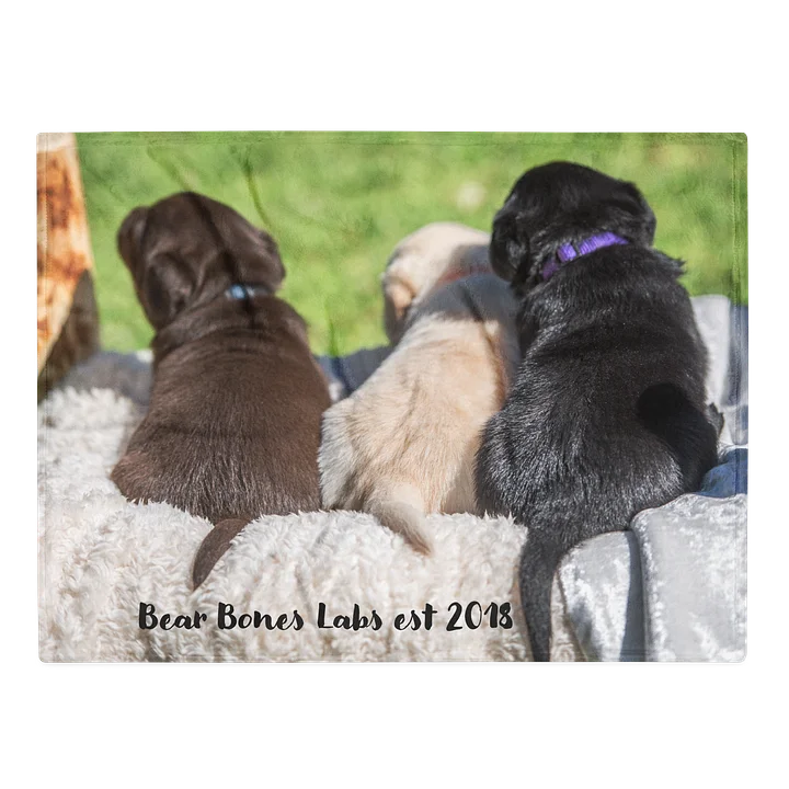 Blanket with Puppies product image (1)