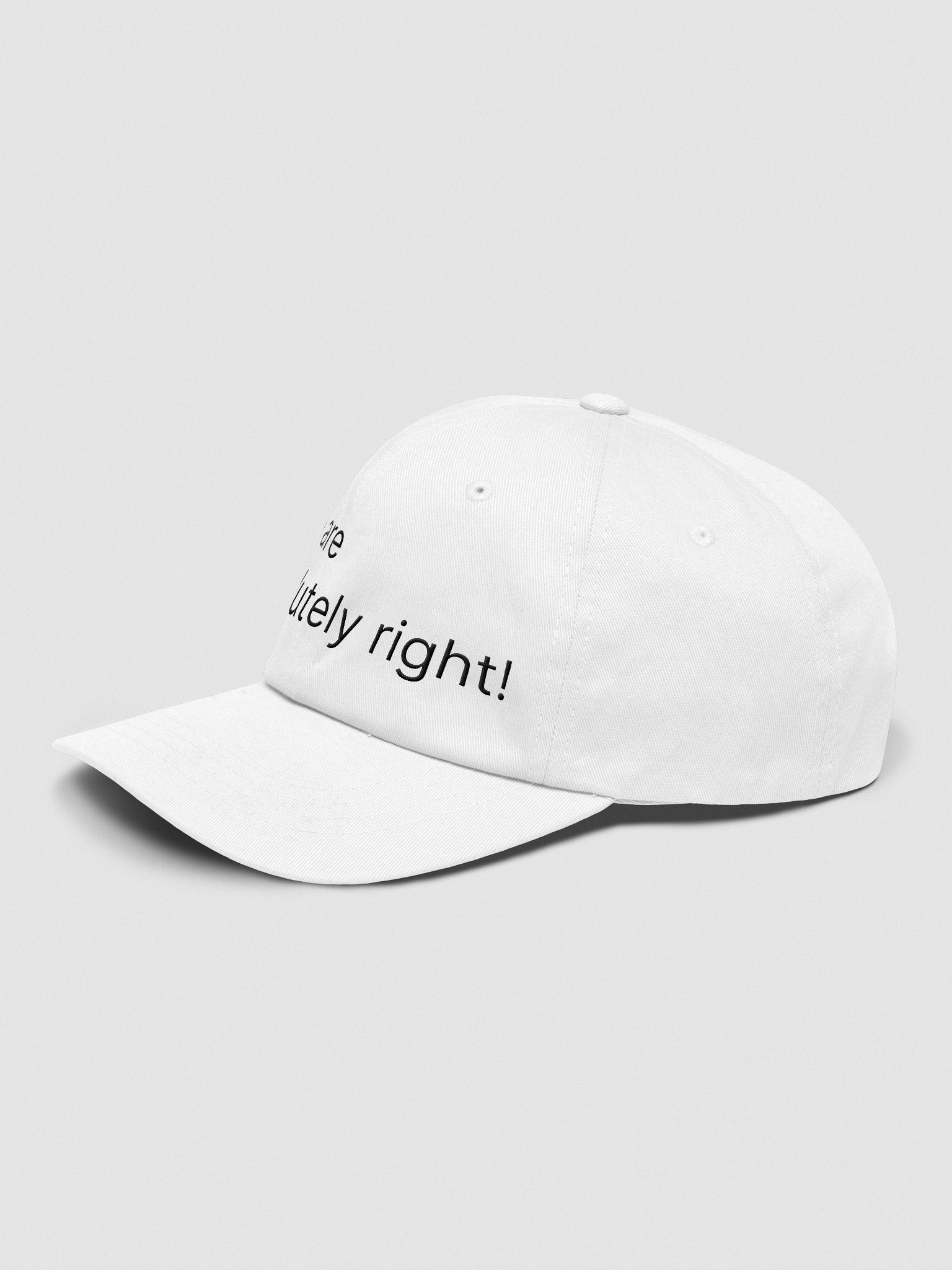 You are absolutely right! product image (3)