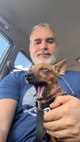 Chiquitin being a very good boy after his vet visit. 

#chicathedoberman #chihuahua #chihuahuasofinstagram